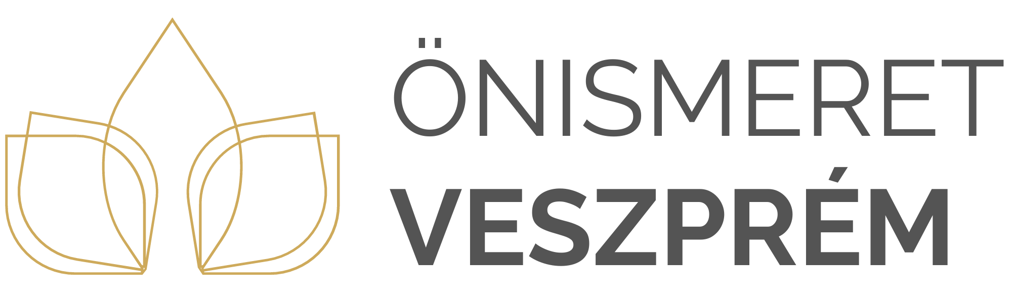 Önismeret Veszprém